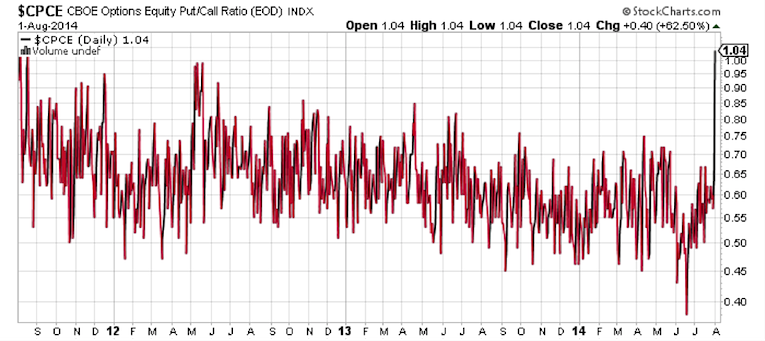 cboe equity put call ratio spike august 2014