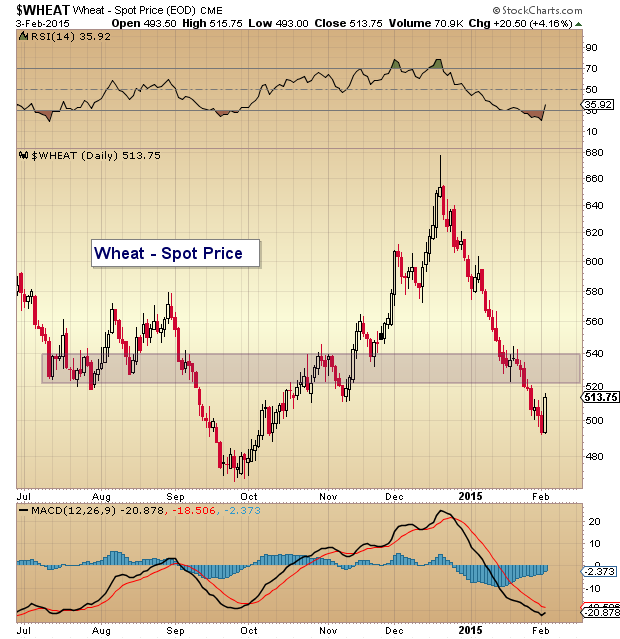 Daily Wheat Price Chart