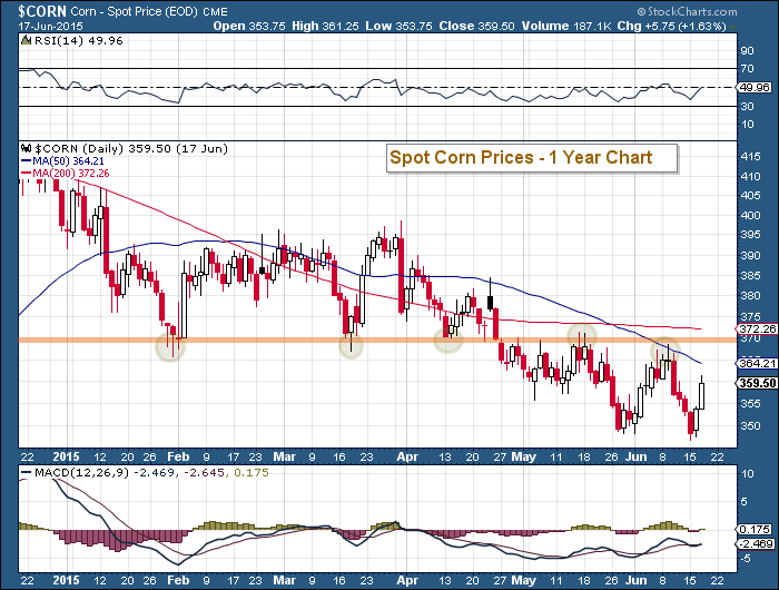 Corn Spot Price Chart