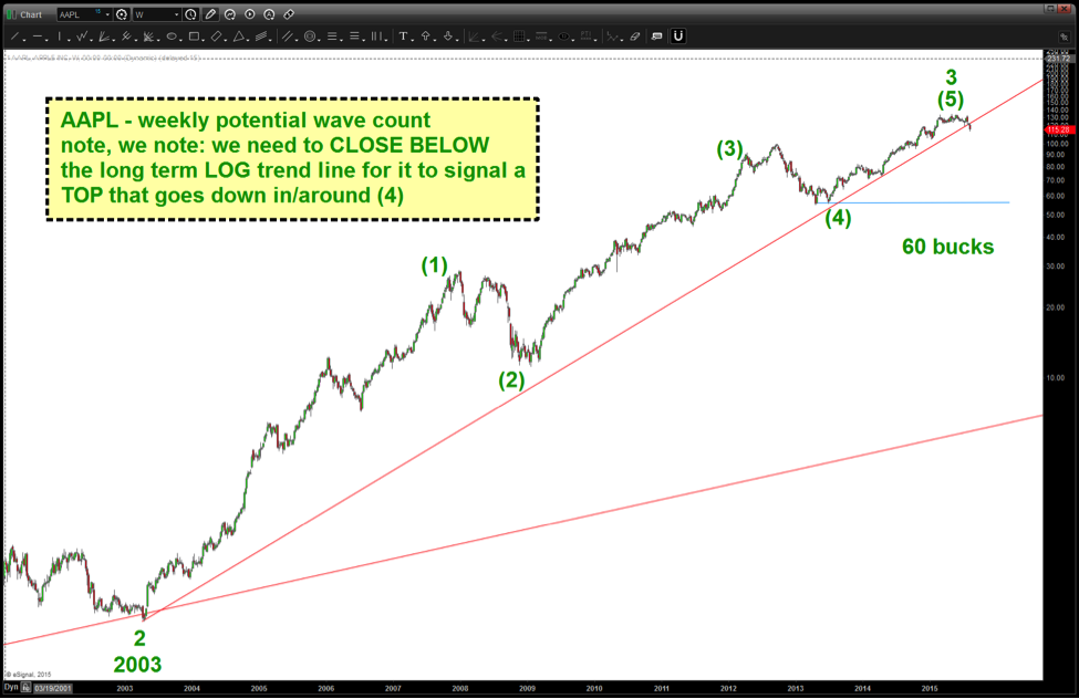 Apple Stock 2011 Chart