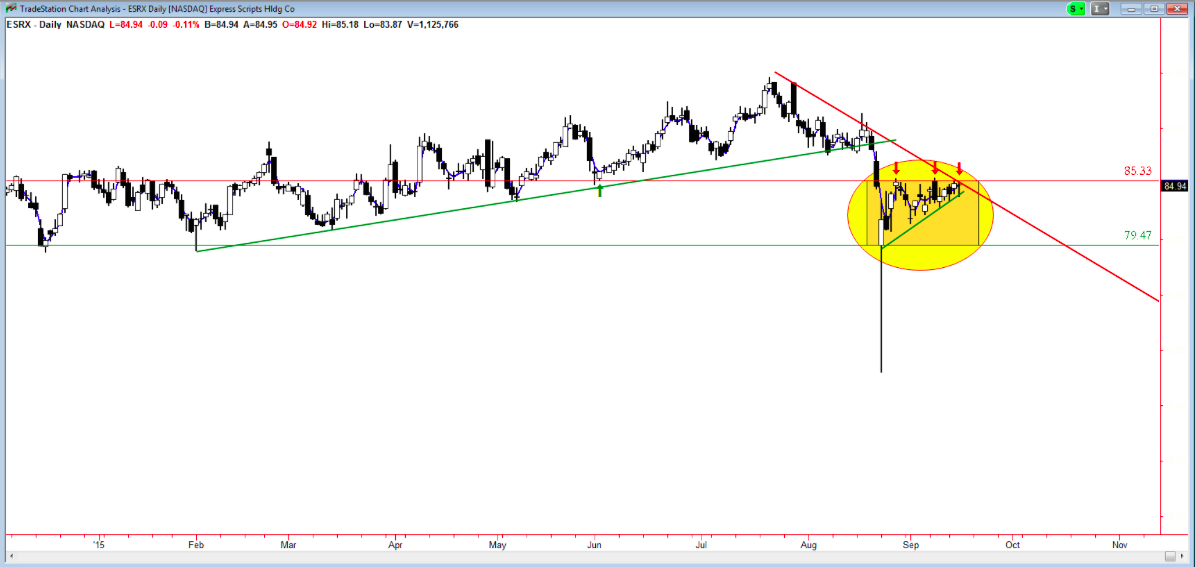 Express Scripts Stock Chart