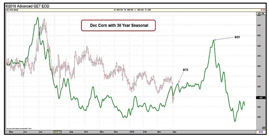 Corn Seasonal Chart