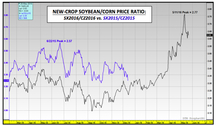 Corn Futures Chart