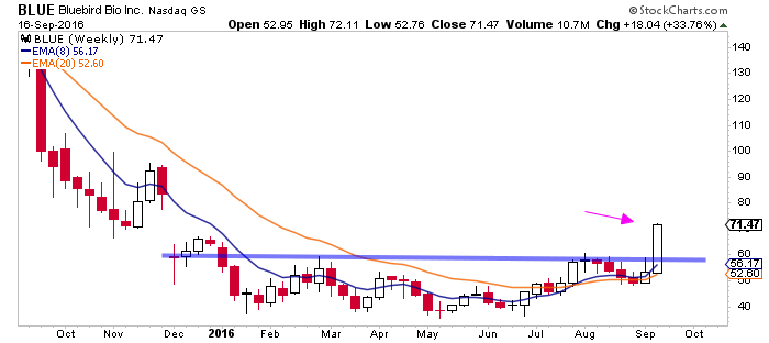 Bluebird Stock Chart