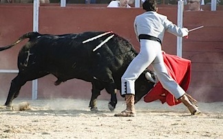 bull-matador, market sentiment