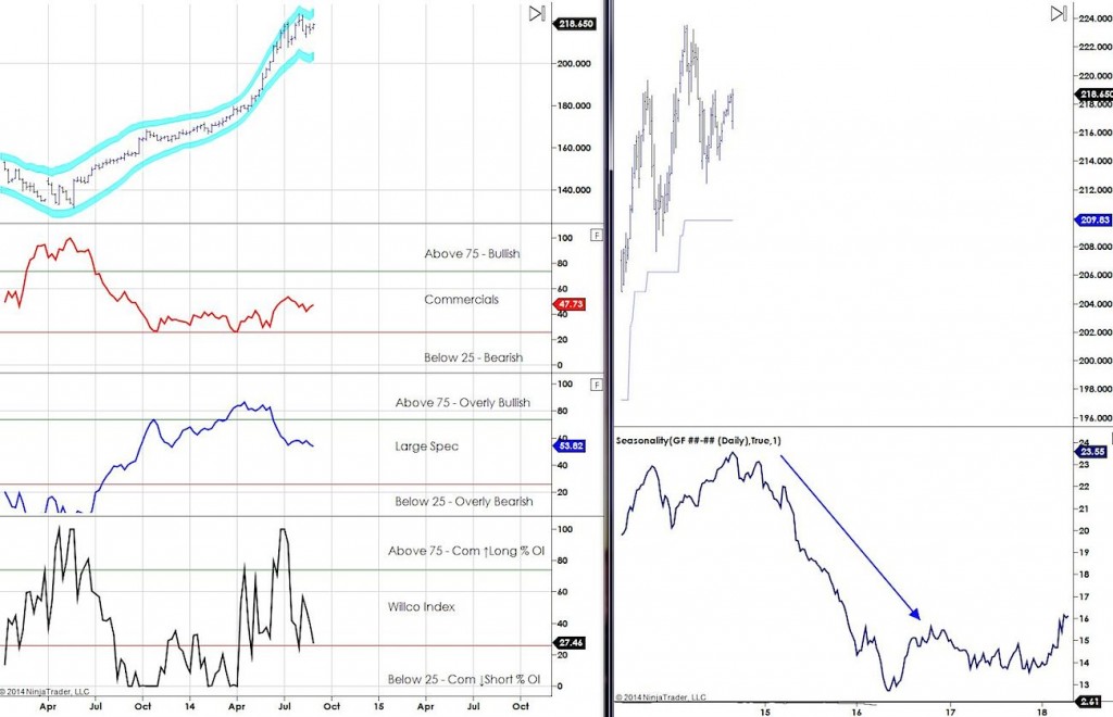 COT Report Analysis Feeder Cattle September