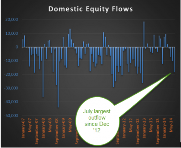 domestic equity flows july 2014