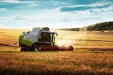 farm field harvesting