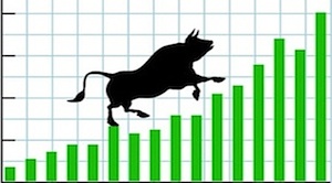 bull market image