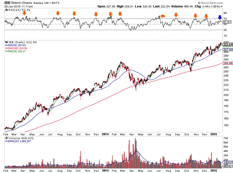 biotech sector ibb weak rsi chart_january 28 2015