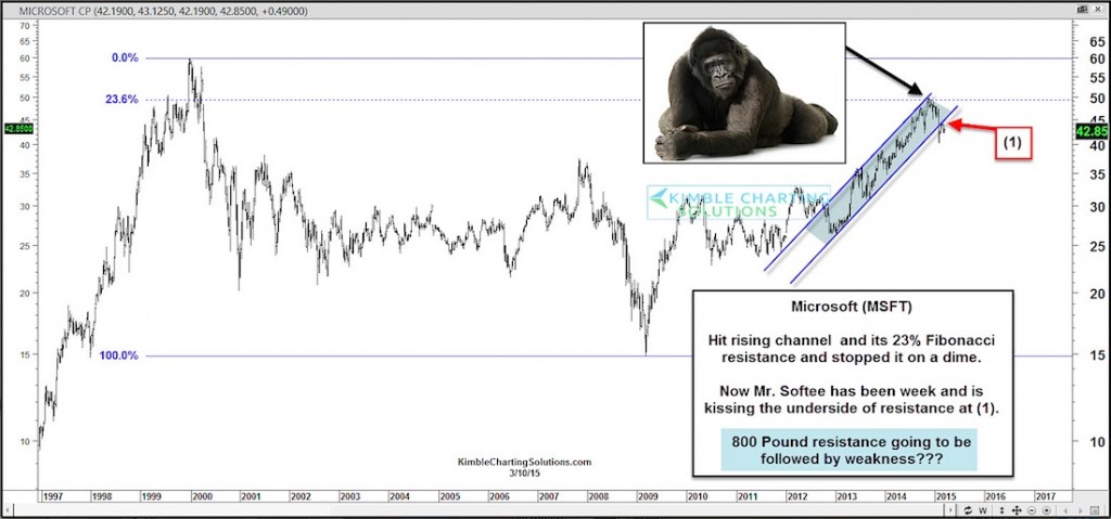 microsoft stock trend support line breaks msft March 2015