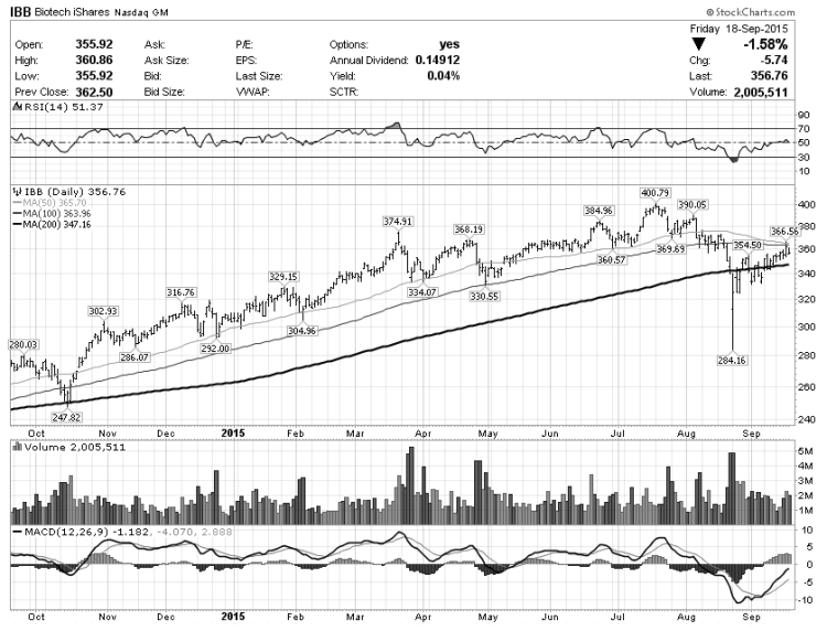 biotech sector ibb chart decline september 22