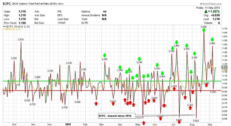 options total put call ratio chart