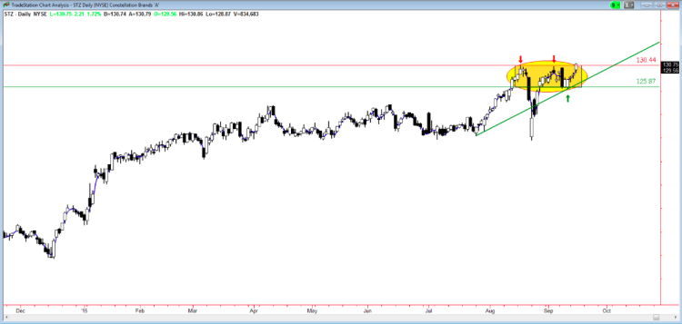 stz stock chart constellation brands trading setups