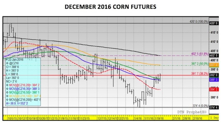 december 2016 corn futures prices chart analysis january 24