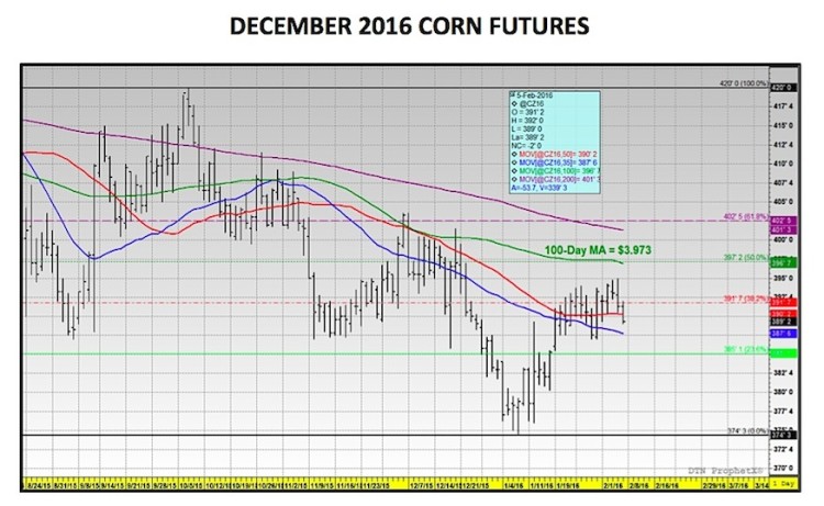 december corn futures prices chart analysis february 8