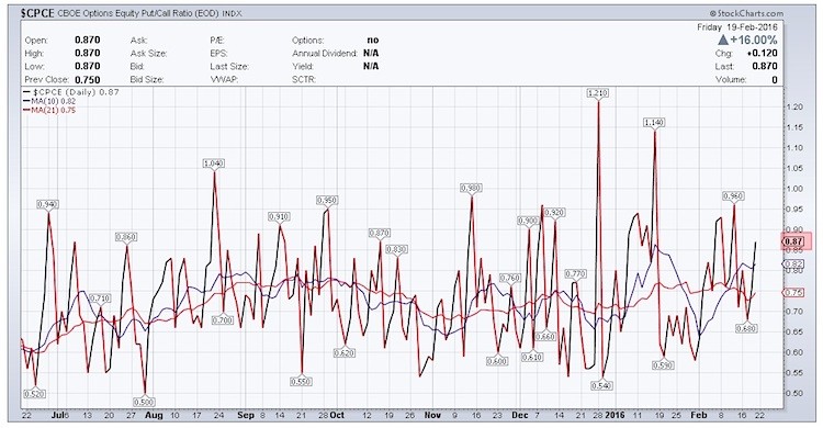 put call ratio stock market indicator fear rising february