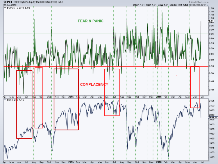 cboe put call ratio chart fear panic stock market_june 24