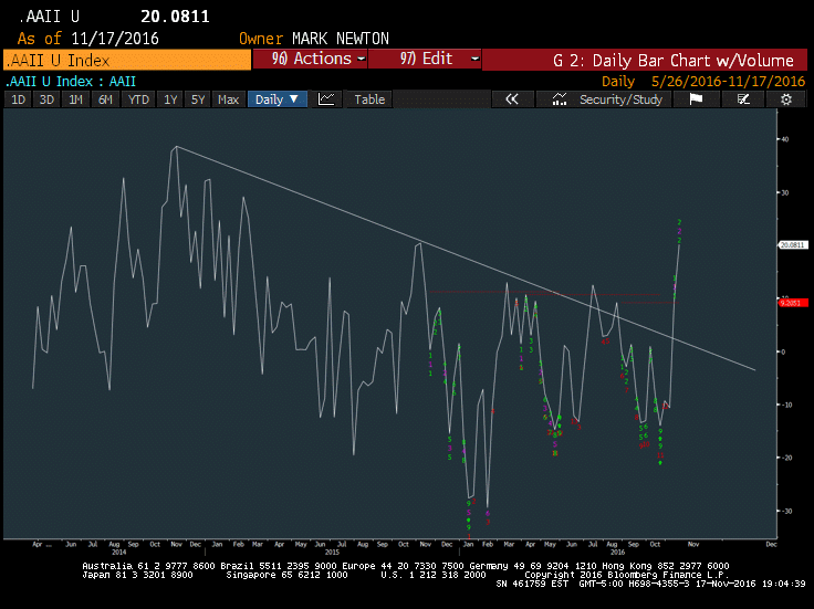 source: Bloomberg & AAII