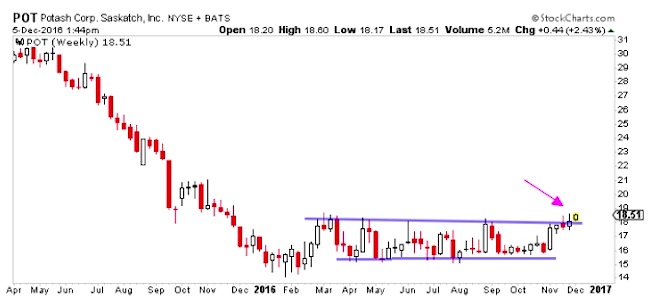 Pot Stock Chart