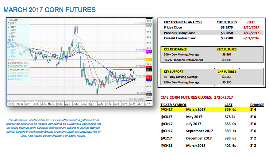 U.S. Corn Futures Price Outlook: Is A Breakout Coming?