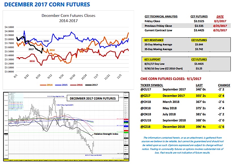 U.S. Corn Futures Market Outlook: Bulls Need A Catalyst - See It Market