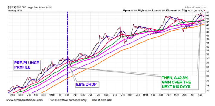 1955 stock market plunge correction_market returns 1 year chart
