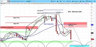 Skechers Declines On Earnings, Market Cycles Indicate More Pain skechers earnings july 20 decline skx stock bearish outlook investing