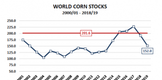 U.S. Corn Futures Market Outlook: Does This Rally Have Legs? world corn stocks by year history chart