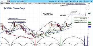 Ciena Tops Earnings Estimates, Stock Cycles Point Higher ciena stock research cien outlook forecast chart bullish higher price target_year 2018png