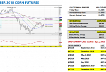 U.S. Corn Futures Market Outlook: A Bullish Glimpse of the Future