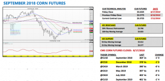 U.S. Corn Futures Market Outlook: A Bullish Glimpse of the Future