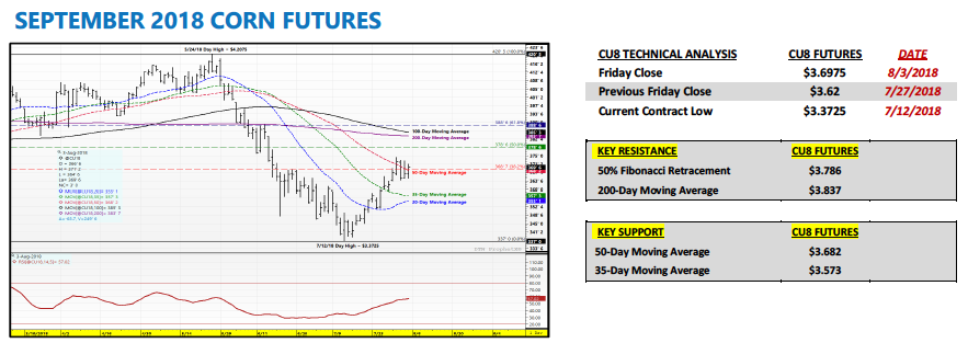 U.S. Corn Futures Weekly Outlook (August 6): Data Overload! - See It Market