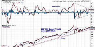 U.S. Equities Weekend Update: Rally Comes With Question Marks s&p 500 equal weight stock market index bearish weakness correction august