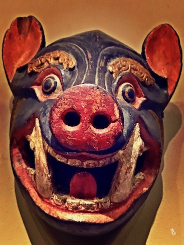 pigs stock market picture