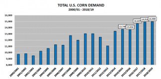U.S. Corn Weekly Market Outlook & Analysis (September 10)