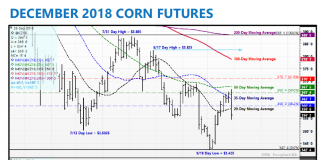 U.S. Corn Market Outlook for the Week of October 1st december 2018 corn futures trading chart price analysis_october 1