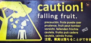 falling stocks_fruit sign