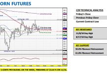 U.S. Corn Market Outlook: A Discussion About Ethanol Margins december corn futures trading analysis indicators forecast week november 19