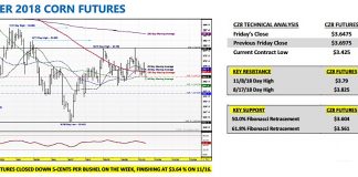 U.S. Corn Market Outlook: A Discussion About Ethanol Margins december corn futures trading analysis indicators forecast week november 19