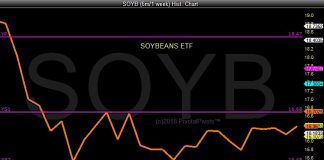 Soybeans On The Move? Watch The Yearly Price Pivots! soybeans etf trading chart yearly price pivots analysis bullish_november 29