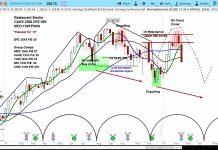 Domino’s Pizza Forgets to Add the Sauce (Quarterly Earnings)