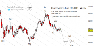 Don’t Expect the Euro to Retrace Much Higher euro currency elliott wave chart analysis forecast year 2019