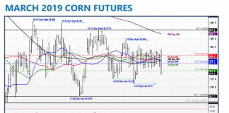 U.S. Corn Futures Weekly Trading Outlook: Home on the Range march 2019 corn futures chart price analysis forecast_february