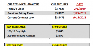 US Corn Futures Market Outlook: Bulls Biding Their Time march corn futures technical price analysis february year 2019