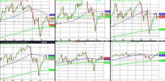 Market Feeds Bulls Artificially Flavored Green Jell-o