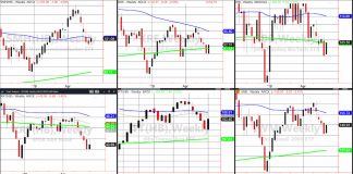 Stock Market Blooms Among the Spikes stock market etfs rally performance ranking june 5 investing news