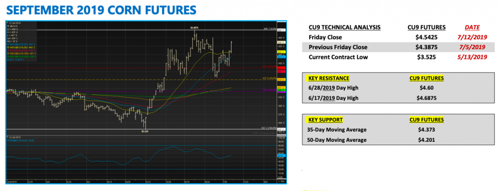 september 2019 corn futures trading analysis chart image rally july 15 news