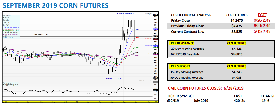US Corn Futures Market Forecast Dimmed By USDA Planted Acreage - See It