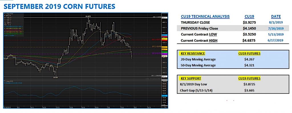 september corn futures trading forecast month august bullish analysis image